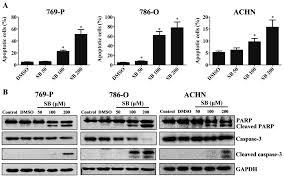 Image result for Ac 104: Introduction to Accounting II