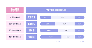 Image result for Energy Deficit Calculation