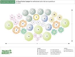 Prairie Nursery Pre Planned Gardens 32 Plant Prairie Sampler Prairie Garden Native Garden Most Popular Flowers