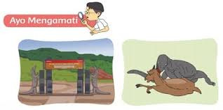 We did not find results for: Kunci Jawaban Tema 5 Kelas 2 Halaman 188 190 191 192 Pembelajaran 3 Subtema 4 Pengalamanku