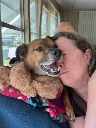 Just getting some scratches