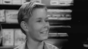 Watch The Adventures of Champion Streaming Online