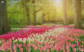 Flower free stock photos we have about (10,850 files) free stock photos in hd high resolution jpg images format. Spring Flowers Hd Wallpapers New Tab Theme