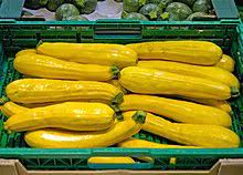 Maybe you would like to learn more about one of these? Zucchini Wikipedia