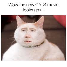 Meowingtons