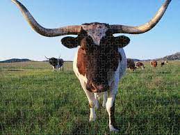 The pieces have been cut from quality wood and treated to lesson any residue dust; Texas Longhorn Cattle Puzzle For Sale By John Elk