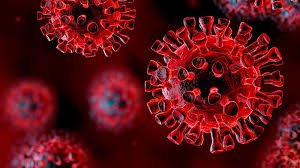 Coronaviruses are a group of related rna viruses that cause diseases in mammals and birds. Coronavirus Sars Cov 2 Medscape