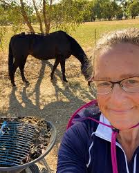 Danehill Equestrian (@danehillequestrian) • Instagram photos and videos