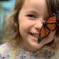 Local Wildlife — Sweetbriar Nature Center event in Smithtown, NY