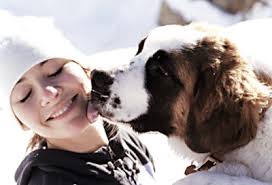 Why Your Dog Likes Some People and Not Others