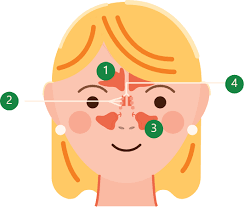 Can Allergies Cause Jaw Pain Zyrtec