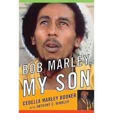 Amazon.com: The Son Of Durnin: 9798989611003: Moss, Jaden: Books