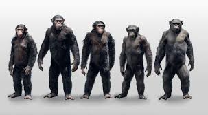 Dawn Of The Planet Of The Apes Full Movie 2014 Dawn Of The Planet Of The Apes 2014 Part 26 Dawn Of The Planet Planet Of The Apes Apes