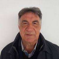 Plattner-favi di miele: Miele fresco per la colazione |