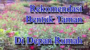 Perawatannya relatif mudah, cukup disiram air secara rutin untuk menjaga kelembaban tanah dan berikan pupuk organik agar tanaman menjadi subur. Menanam Bunga Krokot Warna Warni Kreasi Taman Rumah Minimalis Ide Kreatif Cute766