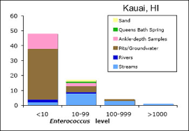 Submarine Groundwater Discharge In Hanalei Bay Hanalei