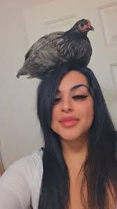 Sandra Coulon's Instagram, Twitter & Facebook