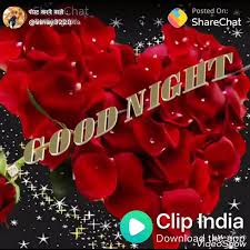 Check spelling or type a new query. Good Night Video Status Download Share Chat Aprofe