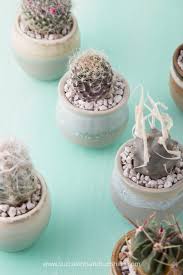 Yet another reason to wear gloves, while belaying. How To Plant A Cactus Without Getting Poked Succulents And Sunshine