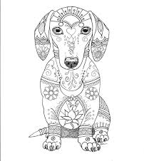 Dachshund Coloring Books Dog Coloring Page Dachshund Colors