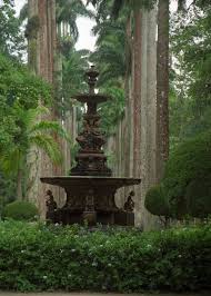Botanical Garden Jardim Botanico Rio De Janeiro I Used To Play There As A Kid 5 Mins Fro Botanical Gardens Near Me Gardens Of The World Botanical Gardens