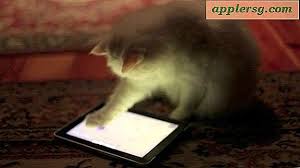 Maybe you would like to learn more about one of these? à¹€à¸à¸¡ Ipad à¸ªà¸³à¸«à¸£ à¸šà¹à¸¡à¸§