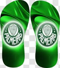 We did not find results for: Palmeiras Png Images Transparent Palmeiras Images