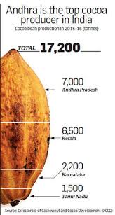 Despite Growing Demand For Chocolate India Imports Most Of