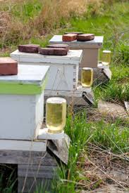What S The Deal With Honey These Days Plus Sweetest Of Giveaways Vomitingchicken Com Bee Keeping Bee Raising Bees
