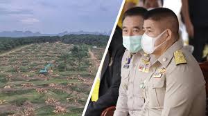 ถามตรงๆกับจอมขวัญ, ธรรมนัสพรหมเผ่า, ธรรมนัสกราบตีนประชาชน, กักตุนหน้ากากอนามัย, หน้ากากอนามัย, โควิด19, ไทยรัฐทีวี32, video, paylaşım, kameralı telefon, görüntülü telefon, ücretsiz, yükleme à¸˜à¸£à¸£à¸¡à¸™ à¸ª à¸¥ à¸¡à¸• à¸™à¸›à¸²à¸¥ à¸¡ à¹€à¸„à¸¥ à¸¢à¸£ à¸ž à¸™à¸— à¹€à¸•à¸£ à¸¢à¸¡à¸—à¸³à¸à¸£à¸°à¸š à¸ªà¸¡à¸²à¸£ à¸—à¸‹ à¸•