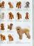 Short Cockapoo Haircut Styles