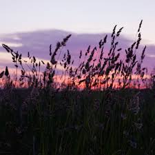 Get stunning sunset pictures in our handpicked collection for free. Darkkhour