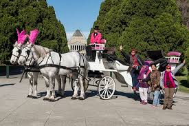 Pirates at sea alfred's premier piano course lesson book 2b. Unique Carriage Hire Melbourne 2021 All You Need To Know Before You Go With Photos Tripadvisor
