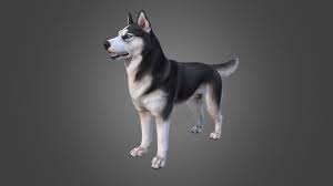 Husky Low Poly By Anastasiya Konkina 3d Model Low Poly 3d Models 3d Model Low Poly 3d