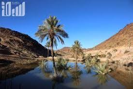 نتيجة بحث الصور عن الظواهر الطبيعية في المدينة المنورة نخل Outdoor Water Beach
