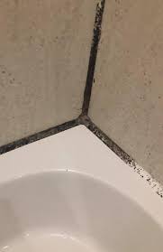 woman removes mould with bleach soaked