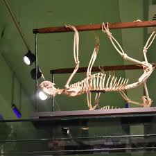 Rüdiger hengl) auf der mondnahen seite der erde wird das wasser zum mond hingezogen. Ausstellung Zoo Und Universitat Luften Gemeinsam Geheimnisse Nnn De