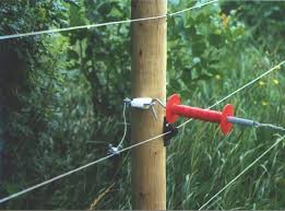 You can install electric fencing with electric fence tape or a variety of straight wire of various thicknesses. Everything You Need To Know About Electric Fencing Manitoba Agriculture Province Of Manitoba