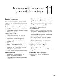 The action potential can originate in the cell body when it. Fundamental The Nervous System An Vous Ti Lake K12 Fl Us Flip Ebook Pages 1 13 Anyflip Anyflip