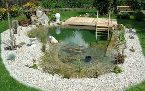 100 Backyard Pond Ideas To Inspire Your Garden Transformation Swimming Pool Pond Fountains Outdoor Natural Swimming Ponds