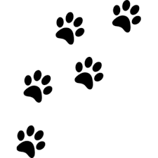 Paw Prints transparent PNG images - StickPNG