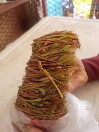 عــــدن قلبـــي نسيت اسمك على فكره امانه لو تذكرني انا قلبي على الفطره بينسى من بيهجرني Facebook