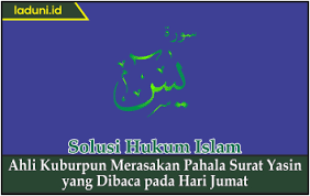 Mustafa khattab, the clear quran. Ahli Kuburpun Merasakan Pahala Surat Yasin Yang Dibaca Pada Hari Jumat Hikmah Laduni Layanan Digital Untuk Negeri