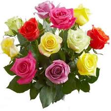Use the gyft mobile app to balance check gift cards. Buy Mixed Roses Bunch Online Best Prices In India Rediff Shopping
