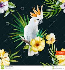 Weisser Papagei Hibiscus Tropisch Palmen Blumen Muster Tapete Stock Abbildung Illustration Von Papagei Floral 50004375 Papagei finden sie online schöne vliestapeten für schlafzimmer, wohnzimmer dschungel tapete „wild birds mit tropischen vögeln, beige vlies tapete wandgestaltung für küche.