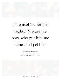 Life Itself Is Not The Reality We Are The Ones Who Put Life Picture Quotes