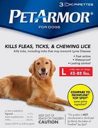 Pin On Pets