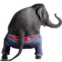 Https Encrypted Tbn0 Gstatic Com Images Q Tbn And9gcr09 678ij Bv8qmgwalbiq1mt5ev41af Zq Usqp Cau