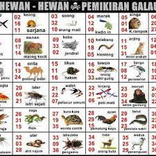 Gambar hewan fajar pakong hari, gambar hewan fajar pakong blogspot, gambar hewan fajar pakong jelambar, gambar hewan fajar pakong prediksi, gambar hewan fajar pakong togel, gambar hewan fajar pakong asli, gambar fajar wanita, gambar fajar alfian, gambar fajar pagi, gambar fajar terbit, gambar fajar sidik, gambar he wan, gambar he wan langka di indonesia, gambar he wan herbivora, mewarnai. Binatang Fajar Pakong