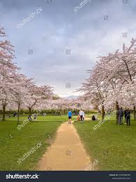 คอลเลกชันโดย Patrick Herzberg